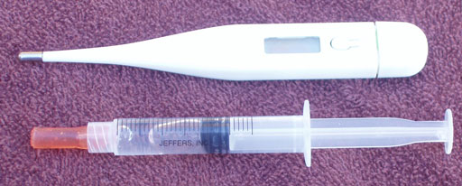 thermometer and syringe full of lubricant