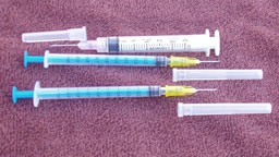 syringes for giving injections to lambs and their dams